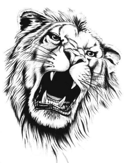436x565 82 Famous Lion Tattoo Design Amp Sketches - Lion Sketch Black And White
