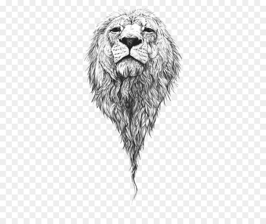 900x760 Lion Drawing Art Sketch - Lion Sketch Black And White