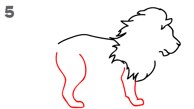 642x362 How To Draw A Lion - Lion Sketch Drawing