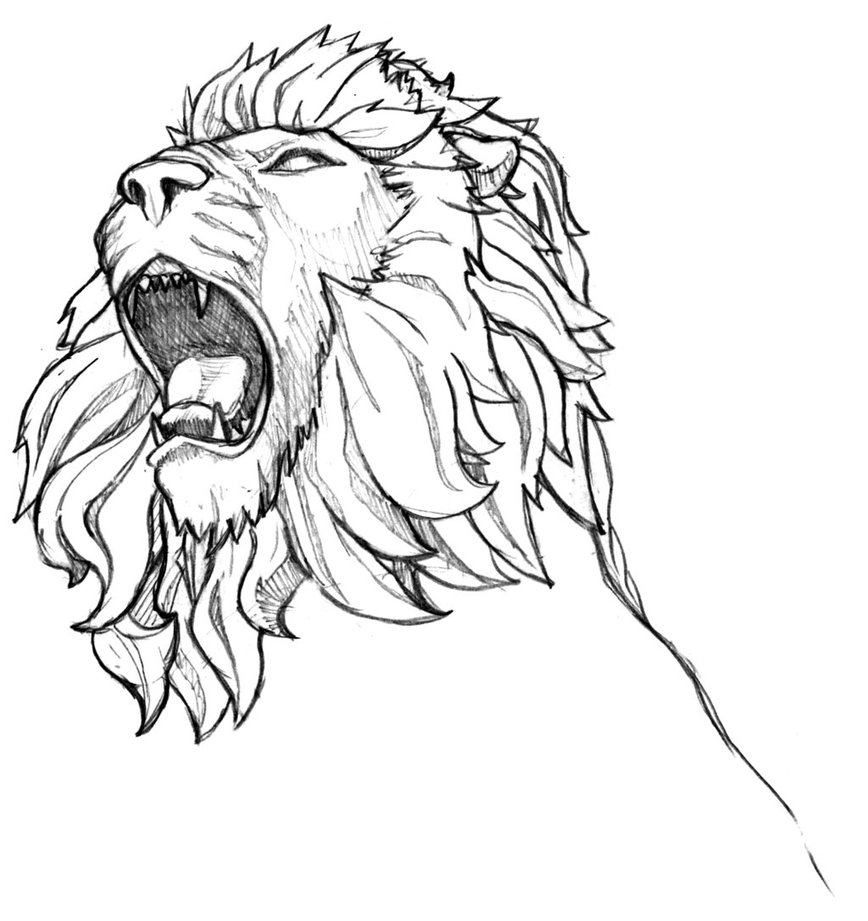 868x921 Lion Sketch By Muraart - Lion Sketch Drawing