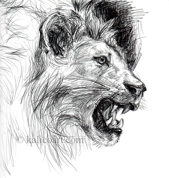 540x566 Lion Sketch By Kalicothekat - Lion Sketch Drawing