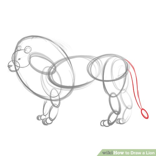 500x500 4 Ways To Draw A Lion - Lion Sketch Drawing