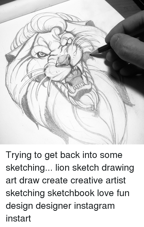 500x786 C Trying To Get Back Into Some Sketching Lion Sketch Drawing Art - Lion Sketch Drawing