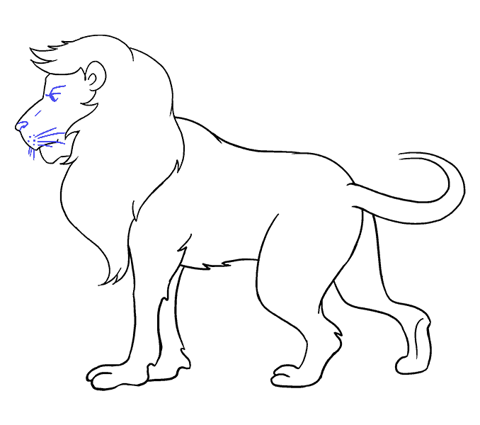 678x600 How To Draw A Lion In A Few Easy Steps Easy Drawing Guides - Lion Sketch Easy