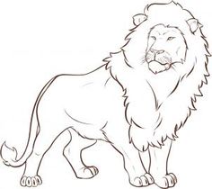 236x210 How To Draw A Cartoon Lion Step By Step. Drawing Tutorials For - Lion Sketch Easy