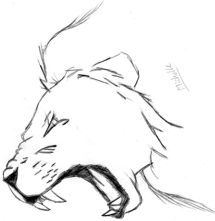 699x720 Lion Roar Sketch Easy - Lion Sketch Easy