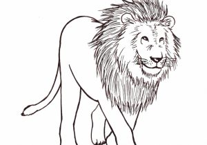 300x210 Lion Simple Drawing Lion Drawings Easy Easy Lion Sketch Simple - Lion Sketch Easy