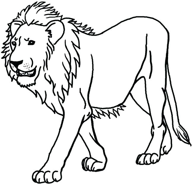 650x619 Lion Drawing For Coloring Lion Guard Printable Coloring Pages Baby - Lion Sketch For Kids