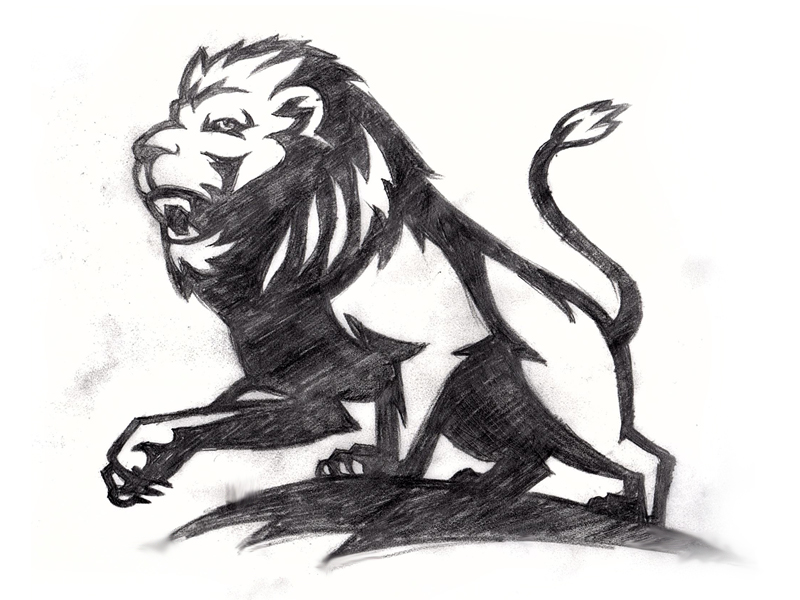 800x600 Lion Sketch By Daren Guillory - Lion Sketch Images