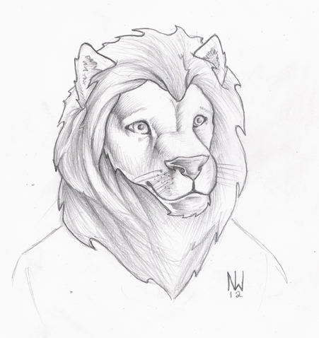 Lion Sketch Images at PaintingValley.com | Explore collection of Lion ...