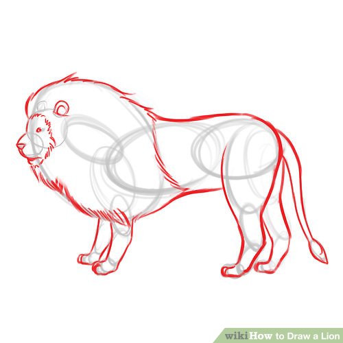 500x500 4 Ways To Draw A Lion - Lion Sketch Images