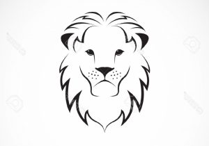 300x210 Lion Head Sketch Izu The Lion. Google Images, Google And Tattoo - Lion Sketch Pictures