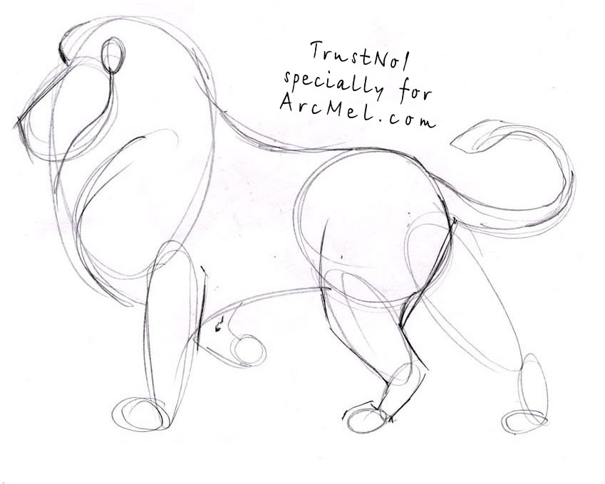 849x680 How To Draw A Lion Step By Step - Lion Sketch Step By Step