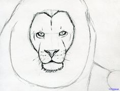 236x180 How To Sketch A Lion Step 6 Inspiration To Create - Lion Sketch Step By Step