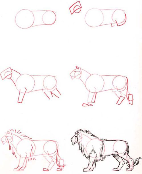 500x609 A Lot Of Animal Drawing Tutorial Drawing In 2018 - Lion Sketch Step By Step