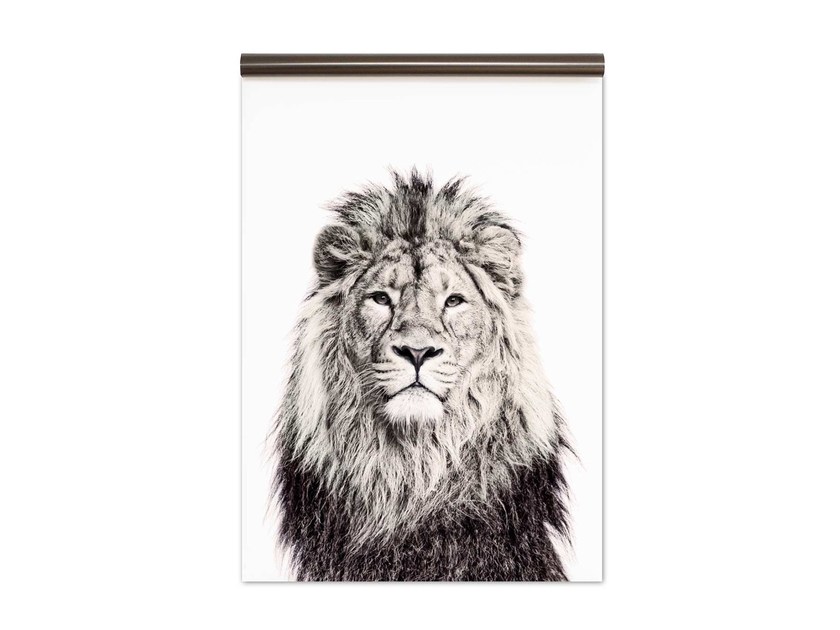 840x630 Lion Magnetic Wallpaper By Groovy Magnets - Lion Sketch Wallpaper