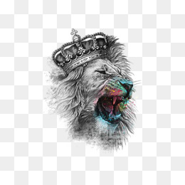 260x260 Lion Head Png, Vectors, Psd, And Clipart For Free Download Pngtree - Lion Sketch Wallpaper
