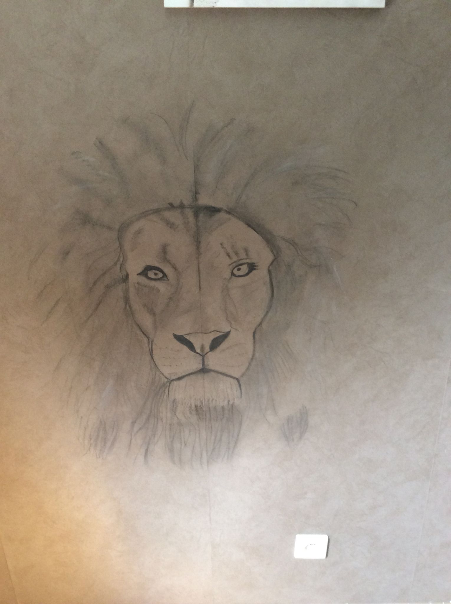 1530x2048 Lion Sketch Lion En Giraf Sketch Lion Sketch - Lion Sketch Wallpaper