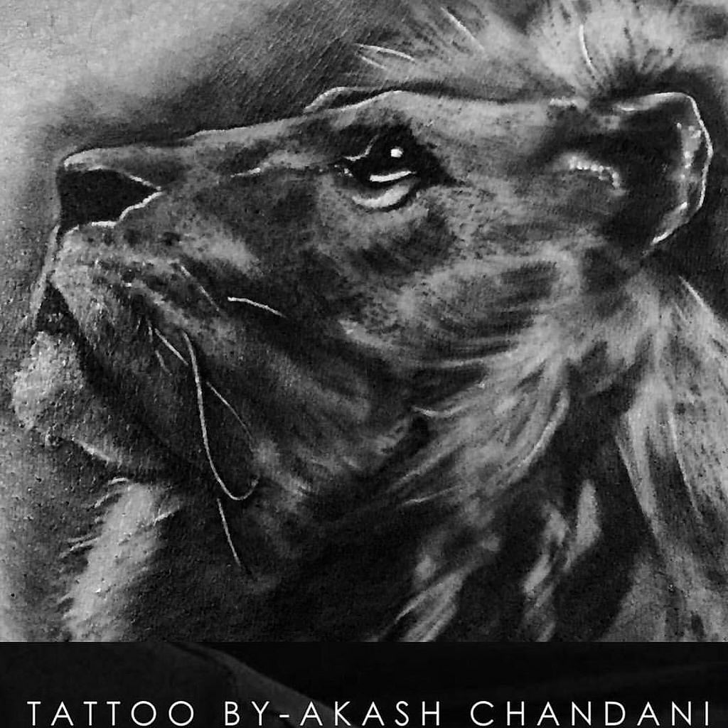 1024x1024 Neither This Is Sketch Nor A Wallpaper.. This Is A Tattoo - Lion Sketch Wallpaper