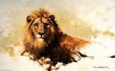 236x145 The 12 Best Lion Sketches Images Lion Sketch - Lion Sketch Wallpaper