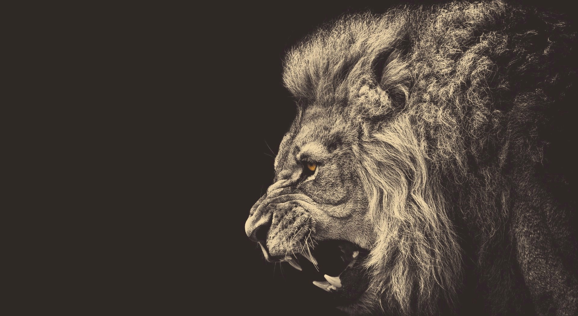 1920x1050 Wallpaper Illustration, Animals, Monochrome, Yellow Eyes, Lion - Lion Sketch Wallpaper