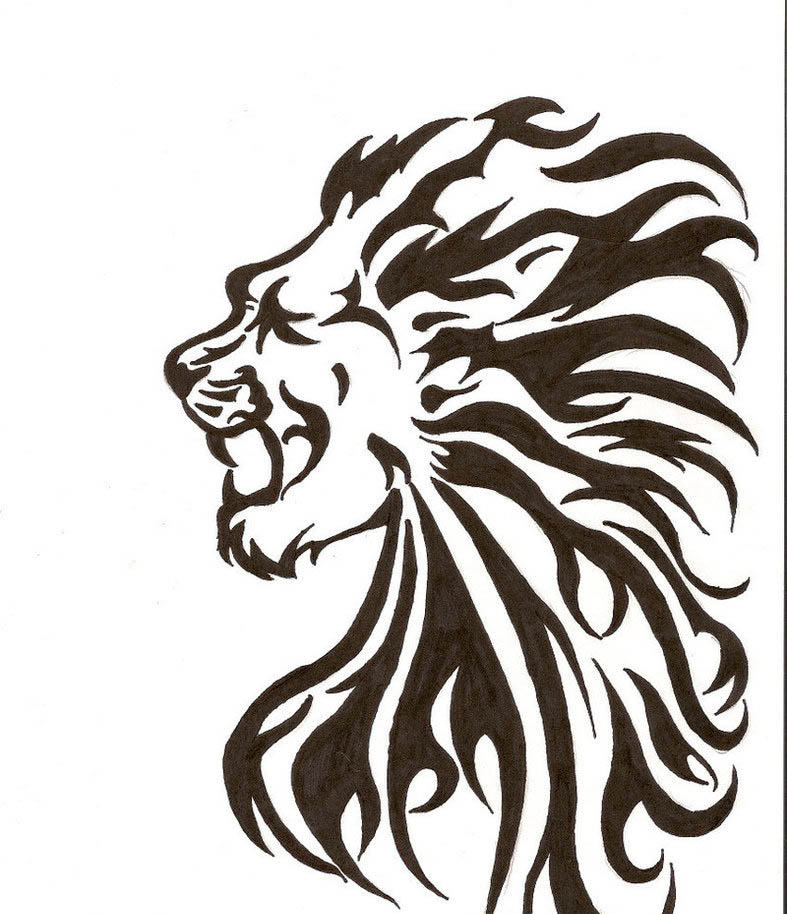 787x914 Tribal Lion Tattoos - Lion Tattoo Sketch