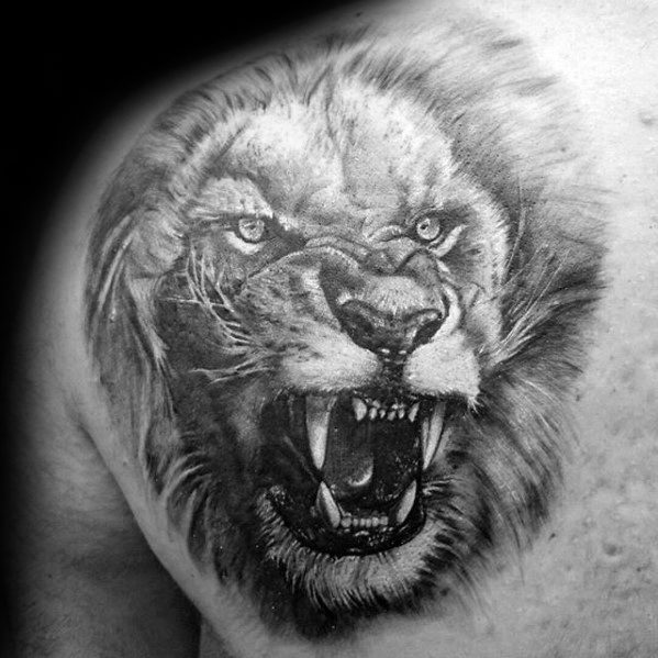 599x599 50 Lion Shoulder Tattoo Designs For Men - Lion Tattoo Sketch