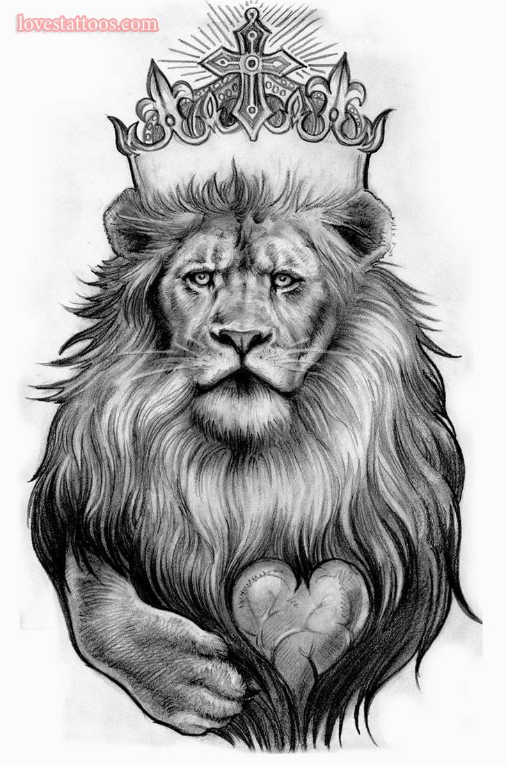 727x1098 Image Detail For Tribal Lion Tattoo Designs Tribal Lion Tattoo - Lion Tattoo Sketch