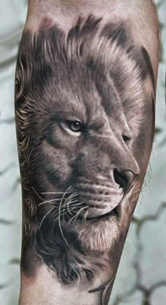 558x1024 21 Lion Tattoo Designs - Lion Tattoo Sketch