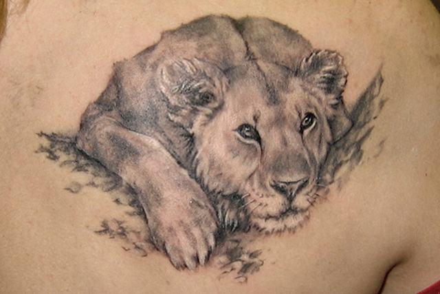 640x427 30 Lion Tattoo Designs For Men - Lion Tattoo Sketch