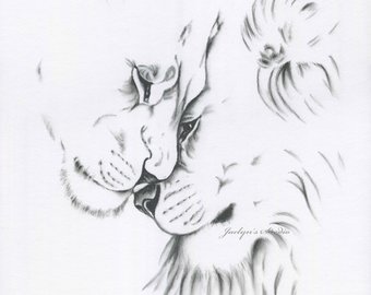 340x270 Lioness Sketch Etsy - Lioness Sketch