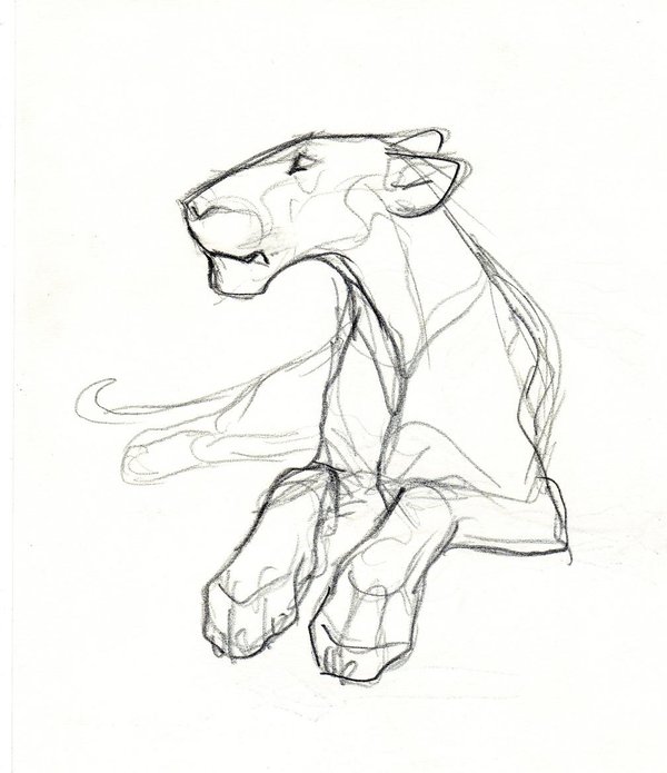 600x695 Lioness Sketch By Theurbanfox - Lioness Sketch