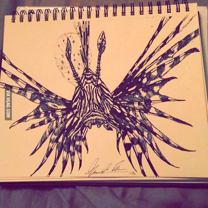 700x700 Lion Fish Sketch - Lionfish Sketch