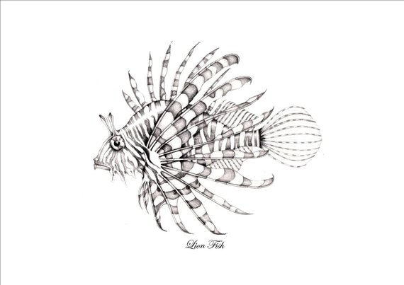 570x403 Lion Fish Printable Drawing. Wall Art Picture Etsy - Lionfish Sketch