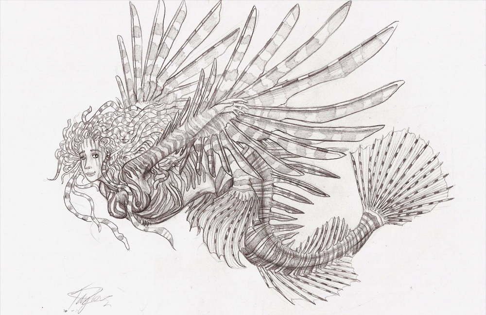 1000x649 Lionfish By Ruth Tay - Lionfish Sketch