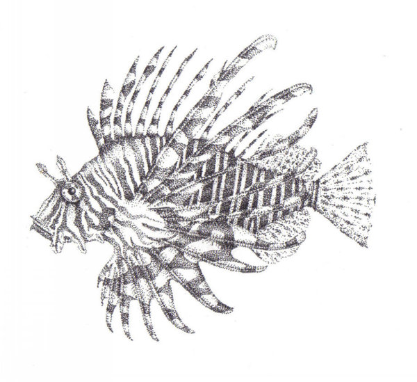 600x549 Stippled Lion Fish By Lawlfox - Lionfish Sketch