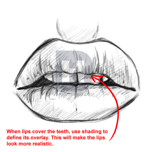 533x533 How To Draw Lips, Step By Step, Drawing Guide, By Darkonator - Lips Sketch