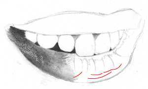 300x182 Drawing Realistic Mouth And Teeth - Lips Sketch Tutorial