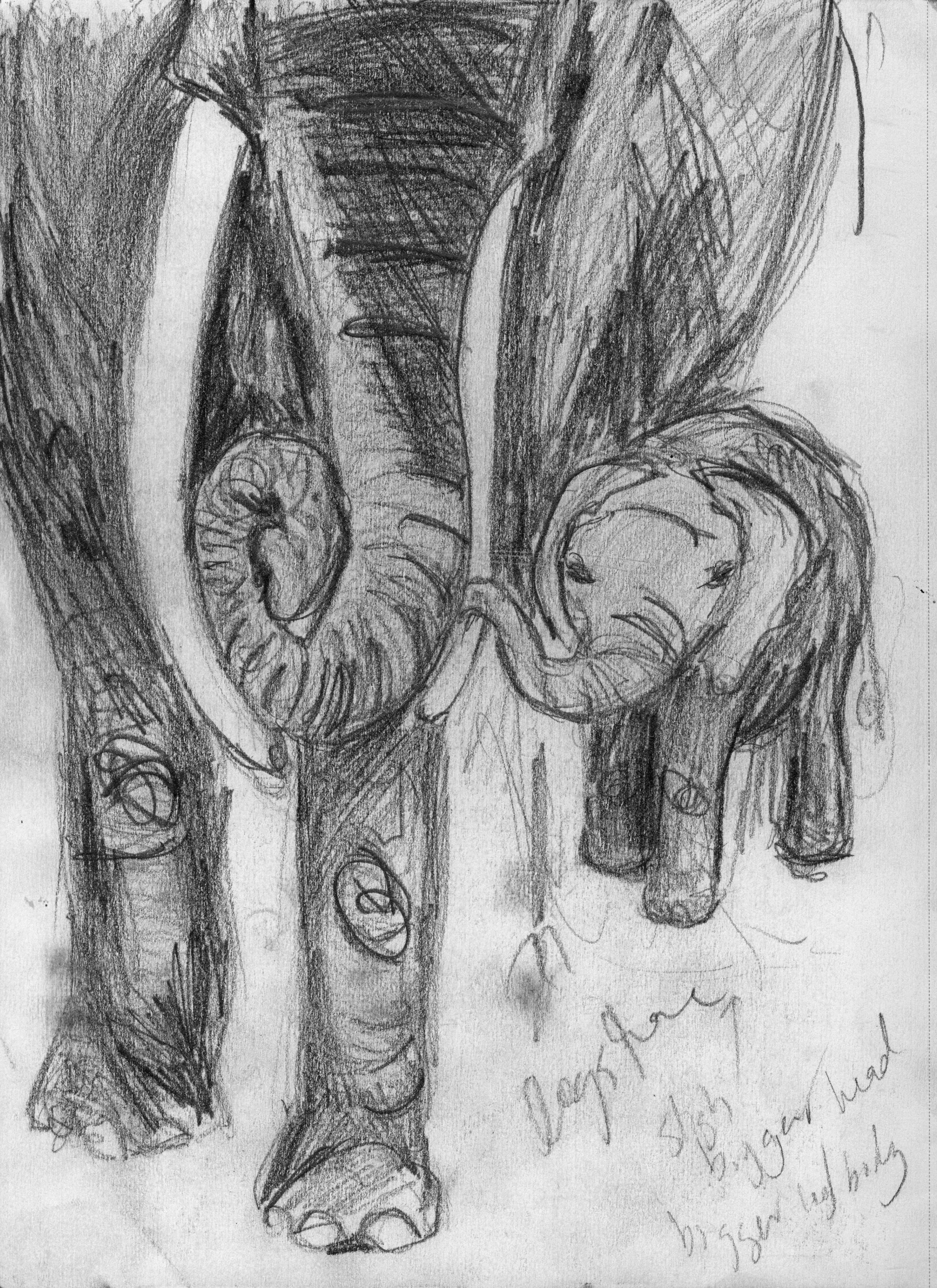 2393x3288 Litho Emily Turpin - Litho Sketch