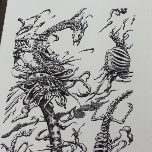 500x500 Art Of Nick Stiles - Litho Sketch