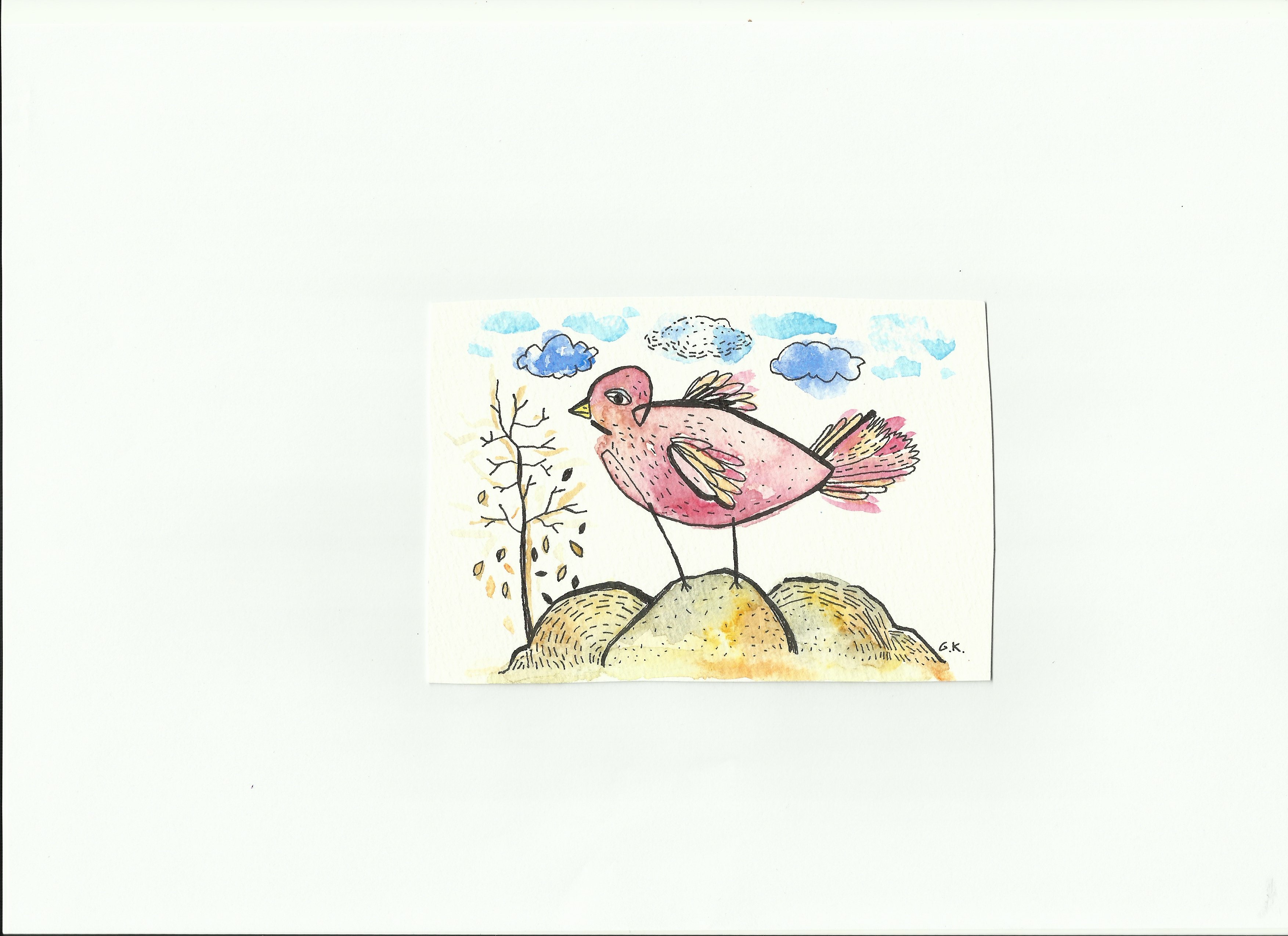 3507x2550 Little Bird Magma - Little Bird Sketch