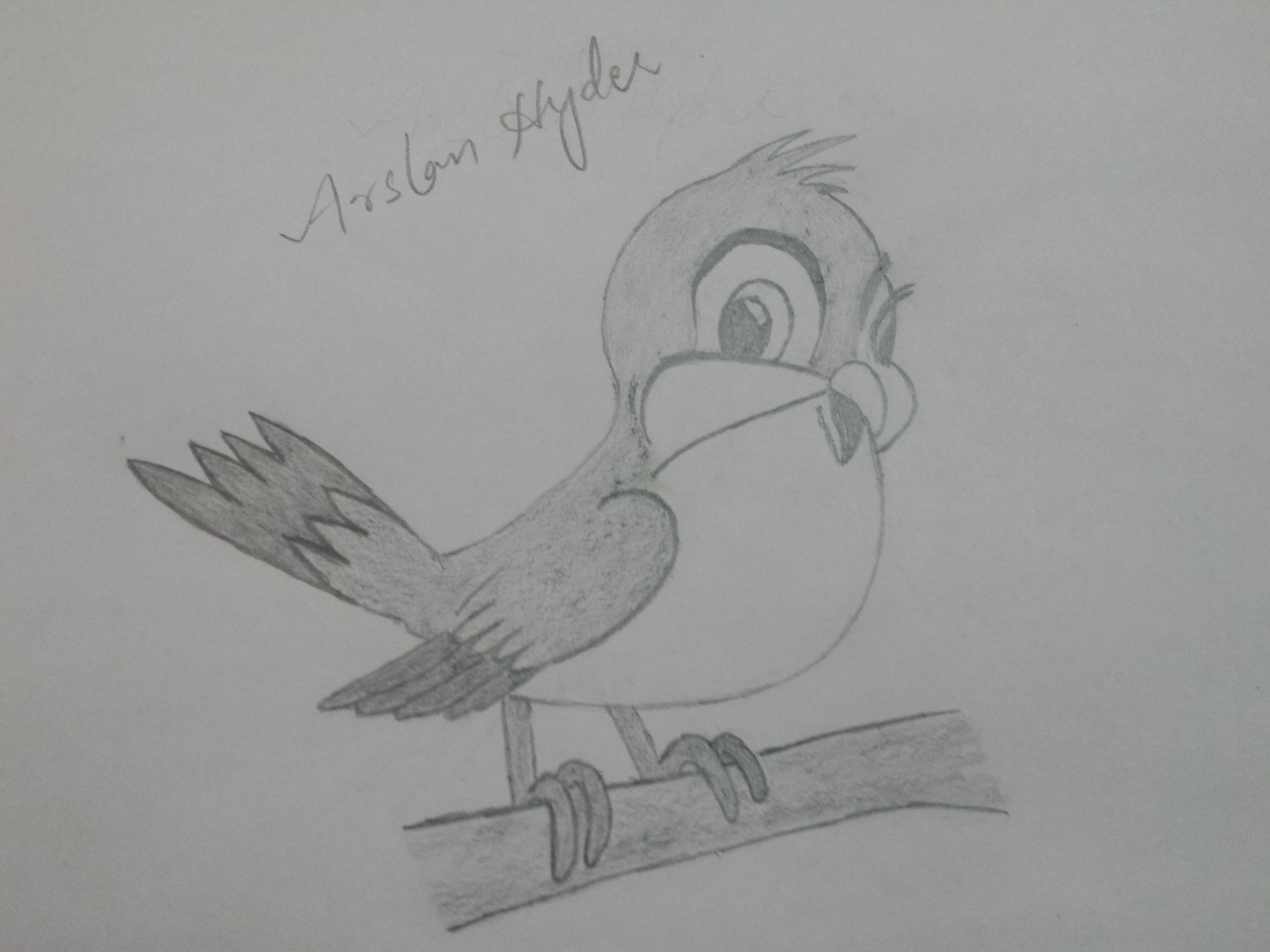 4128x3096 My Second Cartoon Character Pencil Sketch. Its A Cute Little Bird - Little Bird Sketch