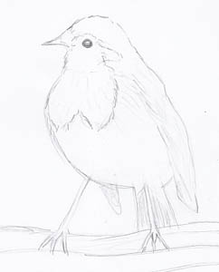 242x300 The Fine Art And Ramblings Of Lisa Isabella Russo Robin, A Little - Little Bird Sketch