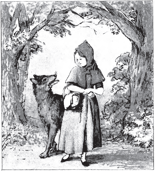 510x563 Filelittle Red Riding Hood Pg 8.png - Little Red Riding Hood Sketch