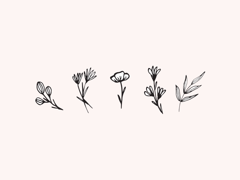 800x600 Floral Sketches By Bianca - Little Sketches