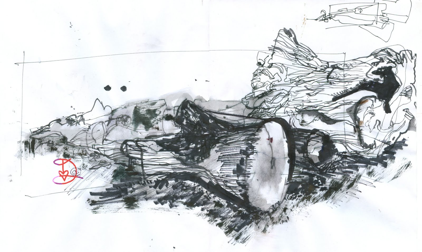 1600x955 Live Oak Tree Urban Sketchers - Live Oak Sketch