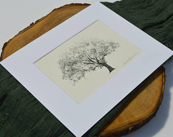 340x270 Live Oak Sketch Etsy - Live Oak Sketch