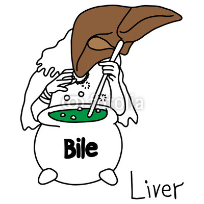 400x400 Metaphor Function Of A Liver To Produce Bile Vector Illustration - Liver Sketch