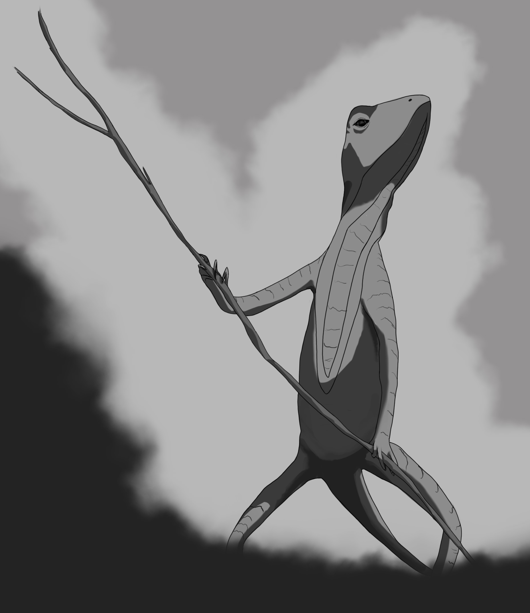 1859x2150 Lizard Sketch - Lizard Sketch