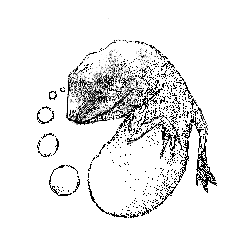 779x801 Lizard Sketch Steemit - Lizard Sketch